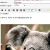 Image Html
